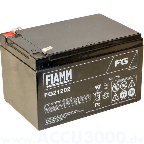 12V, 12.0Ah (C20), Fiamm FG21202